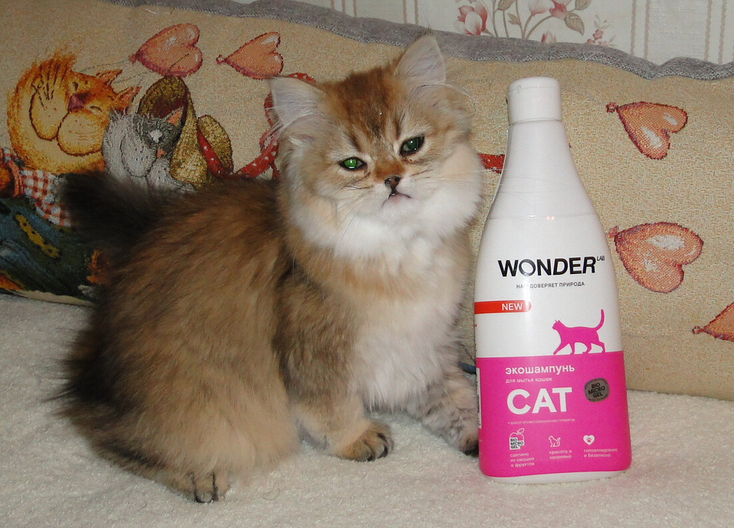 Экошампунь для кошек WonderLab