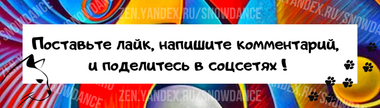 Если у вас дома животные (или дети), то вопрос бытовой химии может стоять остро, особенно в случае с аллергиками…  У меня есть, что рассказать вам сегодня))) Мы протестировали новую российскую линейку-5