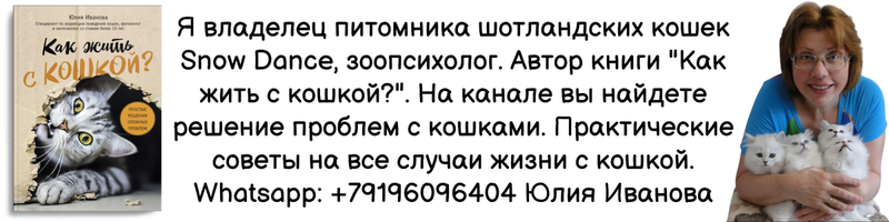 Заболевания ушей у кошек очень неприятны, и обычно их трудно заметить на ранней стадии. Вот почему так важна профилактика и уход за ушками.  Слух - одно из самых важных кошачьих чувств.
