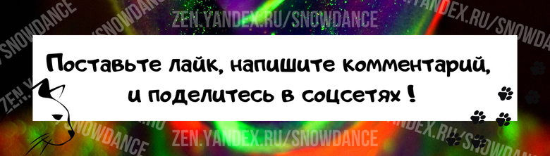 Слишком ранняя разлука может негативно сказаться на всей дальнейшей жизни нашего питомца. Все любят маленьких котят.-4