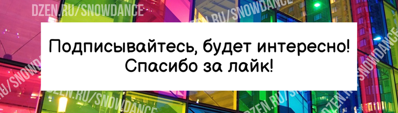 Кошка - любимое домашнее животное для людей, которые много работают, потому что считается, что они более независимы, чем собаки. Это действительно так.-4