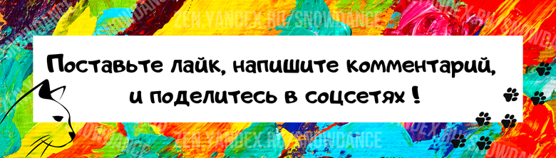 Котенок настаивает на том, чтобы никогда больше не оставаться одному после того, как его нашли брошенным при рождении.-11
