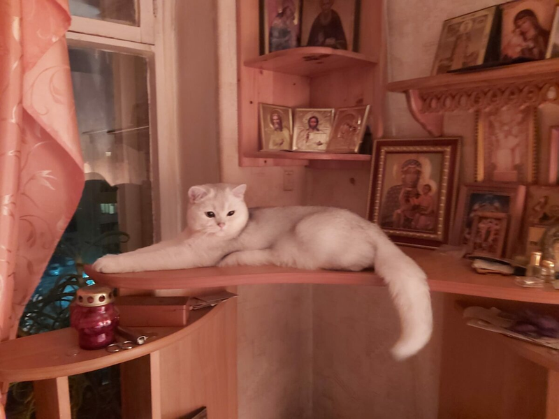 Еще не прошло и недели, как Джоник переехал в новый дом. А он уже практически освоился!-2-2