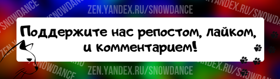 Кто ждал новостей от нашего малыша Мориса?  Морсик (так его папа зовет) прекрасно доехал в ВИП условиях))) Сначала немнго побаивался, но скоро освоился, и прыгал, где мог.-2