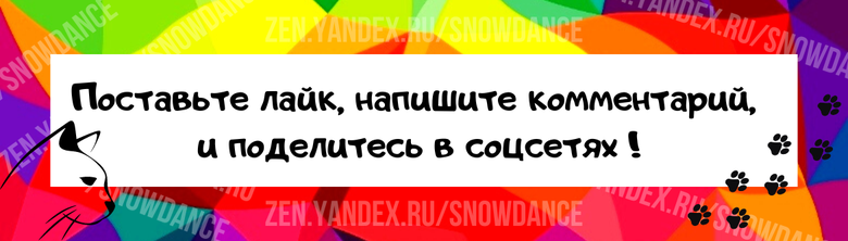 Да, цвет кошачьей шерсти сопровождает множество стереотипов, которые до сих пор остаются незыблемыми.-3