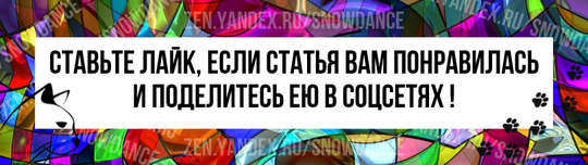 Для нас стресс является повседневной частью жизни. Некоторые справляются со стрессом лучше, чем другие. Вы можете удивиться, узнав, что кошки тоже могут испытывать стресс.-6