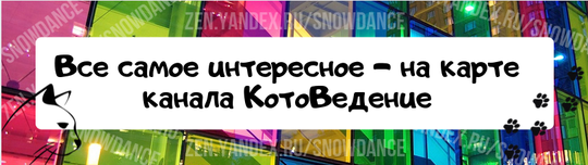  Дорогие друзья!  У меня к вам вопрос - удобно ли вам пользоваться картой канала? Все ли темы я включила? Есть ли какие-то темы, которые вам интересны, и вы не нашли ответа на свои вопросы?-2