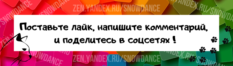 Я - специалист по поведению кошек.  Я на самом деле не считаю себя ни бихевиористом, ни этологом, ни зоопсихологом. По-моему, все эти слова не передают смысла моей работы.-2