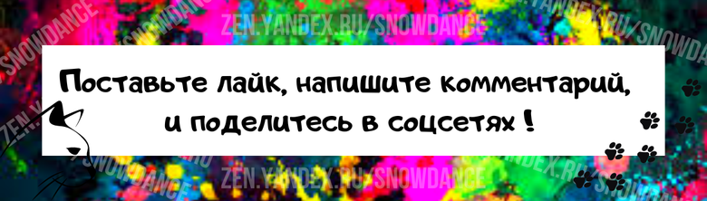 Рычит ли ваша кошка во время еды? Бросается на миску и лучше не подходить к ней, пока она ест? Прогоняет ли она других кошек и нападает ли на них?-4