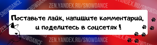 Видели ли вы, как ваша кошка плачет, у нее текут слезы? Думаете ли вы, что кошки плачут, потому что у них есть чувства?-2