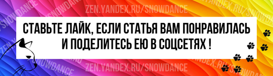 Кошки могут весить всего 4 кг, но их когти, зубы, спортивные способности и природный инстинкт делают наших пушистых питомцев искусными охотниками.-3