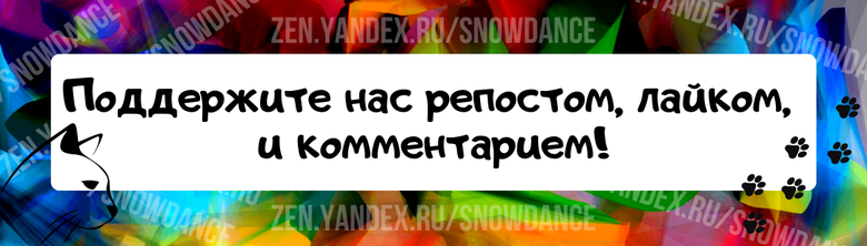 Наверное, каждый кошатник хотя бы раз сталкивался с этим: темная комната и... внезапное свечение, которое может напугать вас, когда вы меньше всего этого ожидаете.-3