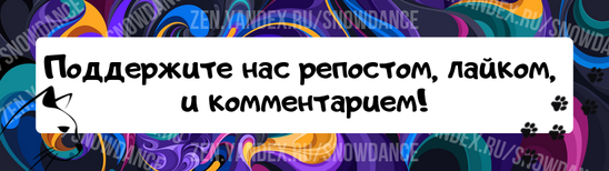 Посетив любой кошачий приют, вы столкнетесь с калико, табби и торти. Вы также найдете большое количество черных, белых, серых и оранжевых кошек. Но...-10