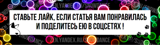 Даже имея 32 мышцы в каждом ухе, кошки все равно умудряются ежедневно игнорировать наш зов.-6