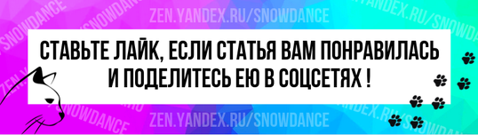 Если у вас есть кошка, вы наверняка знаете, о чем идет речь. Вы заходите на минутку в ванную, и в следующее мгновение слышите мурлыканье кошки и чувствуете, как ее голова прижимается к вашей ноге.-2