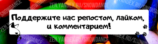 Это, пожалуй, один из самых загадочных видов поведения в арсенале кошки.-5