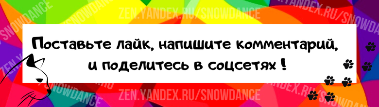 Почему кошка мучает мышь, доводя нас до сердцебиения, вместо того чтобы просто съесть ее? Каждый ребенок знает, что кошки охотятся на мышей.-4