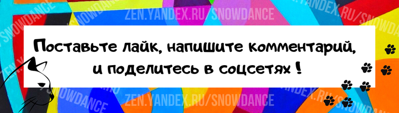 Когда мы берем в дом котенка, мы от него ожидаем (обычно), что он будет ласковый: будет сидеть на ручках, приходить гладиться, будет мурлыкать… Конечно не все любят ОЧЕНЬ ласковых кошек, но в меру...-5