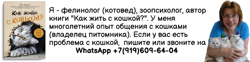 "Не суй свой нос в чужие дела" - все мы знаем эту поговорку. Но что, если наш нос почти уперся в... кошачий хвост? Почему кошка отвернулась? Что она хочет сказать своему владельцу таким поведением?