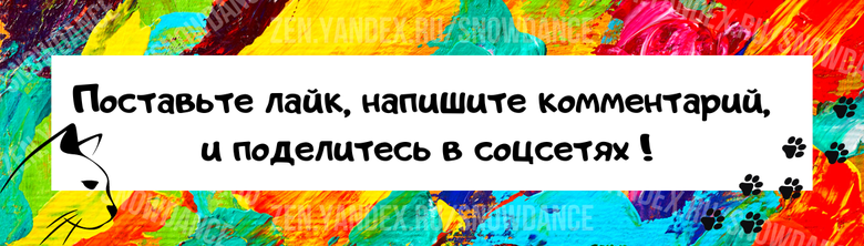 Из лужи, из вазы, из цветочного горшка - что заставляет вашу кошку предпочитать грязную воду той, что вы наливаете ей в миску?-4