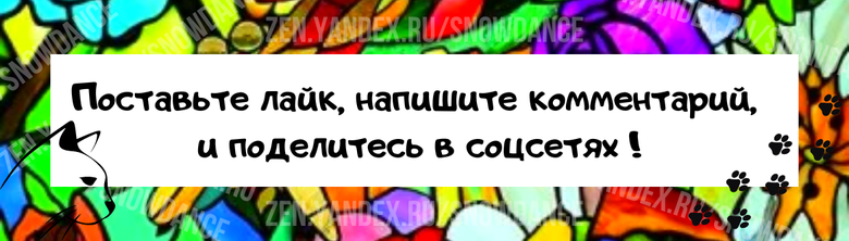 Кошки приветствуют своего человека по-разному: одни сидят рядом с дверью, когда вы входите в дом, другие трутся о ноги, когда вы входите, третьи стоят на задних лапах и даже подпрыгивают...-6