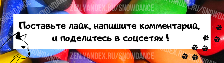 Поведение современной кошки во многом напоминает поведение дикой кошки, жившей в древние времена. Вот еще один пережиток кошачьего прошлого, о котором мы должны знать....-3