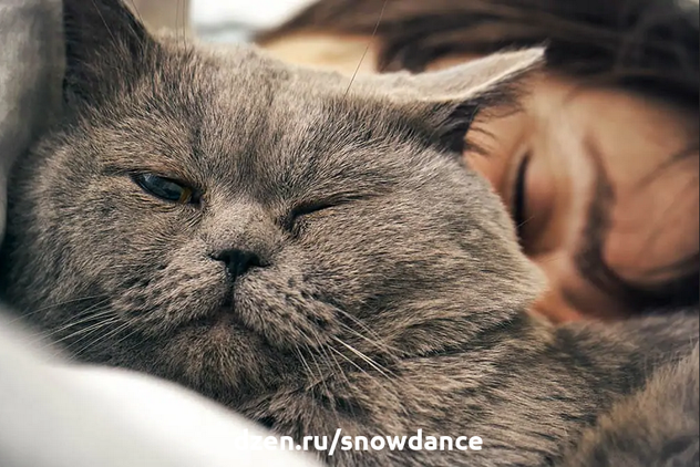 Кошки иногда ведут себя довольно странно, поэтому не стоит удивляться, что наши питомцы оказываются в самых странных ситуациях и местах.-3