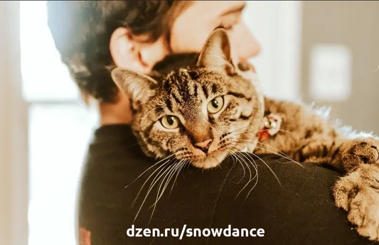 Кошки иногда ведут себя довольно странно, поэтому не стоит удивляться, что наши питомцы оказываются в самых странных ситуациях и местах.-6