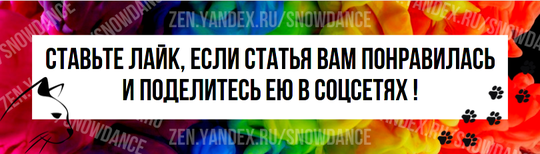 Иметь любимое одеяло - это одно, но некоторые кошки любят одеяла не только за уют. Им нравится сворачиваться калачиком на одеяле и сосать его, как будто они сосут бутылочку или соску.-4