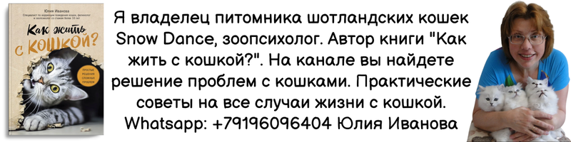 Говорят, что если кошка выбрала для сна колени, плечи, спину или живот конкретного человека, это следует расценивать как комплимент со стороны животного.