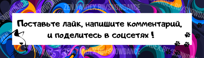 Говорят, что если кошка выбрала для сна колени, плечи, спину или живот конкретного человека, это следует расценивать как комплимент со стороны животного.-3