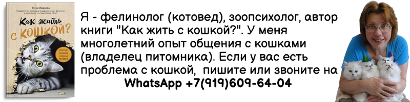Хотя иглоукалывание полезно для здоровья, оно иногда бывает болезненным. Поэтому кошачьи когти на нашей коже - не очень приятное ощущение...  Кажется, нет конца кошачьим загадкам.