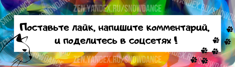 Кошка помочилась в ваши ботинки? Это не злой умысел. Мы приписываем это кошкам - и ошибочно.-5