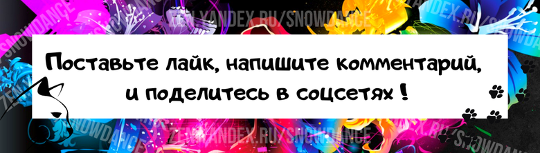 Мы можем многому научиться у кошек, в том числе тому, как получить максимальную пользу от сна. Закрывает ли ваша кошка мордочку, когда спит? Почему он так поступает?-3