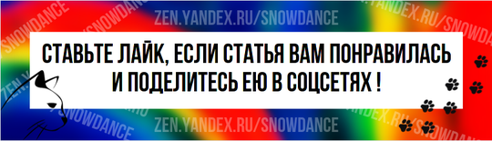 Кошки могут делать это по разным причинам. Например, подрагивание хвоста может указывать на то, что кошка чувствует себя счастливой и довольной окружающей обстановкой.-2