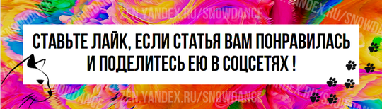 Кошки издают множество интересных звуков. Конечно, мы знаем, что они мяукают, но есть еще один очень милый звук, который кошки издают и который называется "болтовня".-5