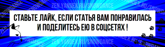 Кошки делают много очень милых вещей. Они надуваются и выгибают спину, когда пугаются. Они разминают нас своими лапами и заставляют нас чувствовать себя теплыми и пушистыми внутри.-3