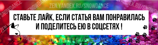 Если вы проводите много времени с кошками, вы, несомненно, сталкивались с "любовными укусами", или теми нежными укусами, которые кошки делают, когда вы их гладите или играете с ними.-2