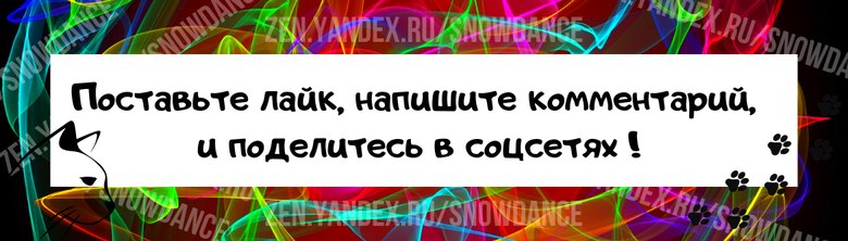 Чтобы точно ответить на этот вопрос, нам нужно вернуться на несколько десятков миллионов лет назад. Именно тогда из семейства живородящих начали выходить предки современных кошек.-3