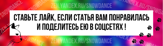 В отличие от собак, большинство из которых, кажется, никогда не устают от поглаживаний и почесываний, кошки могут быть гораздо более непредсказуемыми в своей реакции на прикосновения.-4