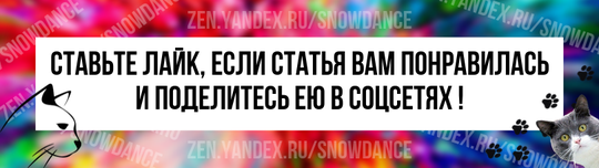 Общение с кошкой - это сплошные почесывания головы и объятия, пока ее зад не оказывается у вашего лица. Не волнуйтесь, родители кошек, мы все это проходили.-4