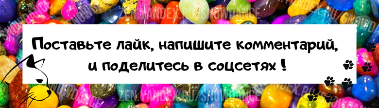 Ванная комната - любимая комната вашего котика? У вашей кошки есть много причин полюбить ее....-3