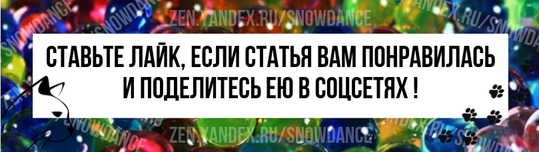 Из всех странных (и, как правило, очаровательных) привычек вашей кошки, макание игрушек в миску с водой - одна из самых непонятных.-4