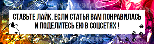 Многие из нас, любителей кошек, знают, что кошки не выносят алюминиевую фольгу. Один только вид ее может заставить их бежать, а если они дотронутся до нее, то игра окончена.-6