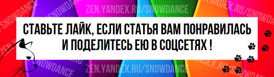 Для вашей кошки нет ничего более оскорбительного, чем закрытие двери. Они будут мяукать, тявкать и царапать косяк, как будто их жизнь зависит от того, как пройти через это препятствие.-6