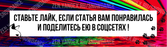 Интересно, что хотя мои кошки никак не ограничены в игрушках, и у них есть самые разные мячики, удочки и даже электронная рыба, самыми любимыми часто оказываются потрепанные мягкие мячики.-4