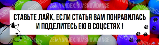 С этим сталкивается практически каждый владелец кошки. Часто это происходит ночью, когда вы уже давно спите, или вечером, когда все расслабленно смотрят фильм.-4