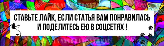 Когда кошка подмигивает вам, это означает, что она довольна, и все хорошо.  Прямой взгляд Среди хищников прямой взгляд "в упор" - это вызов на бой, агрессия.-2