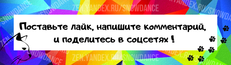 Нравится ли вам, когда кто-то закрывает дверь перед вашим носом? Кошкам это тоже не нравится.-5