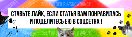 Кошки настолько любопытны, насколько это вообще возможно. И это одна из их черт, которые нам больше всего нравятся.-6